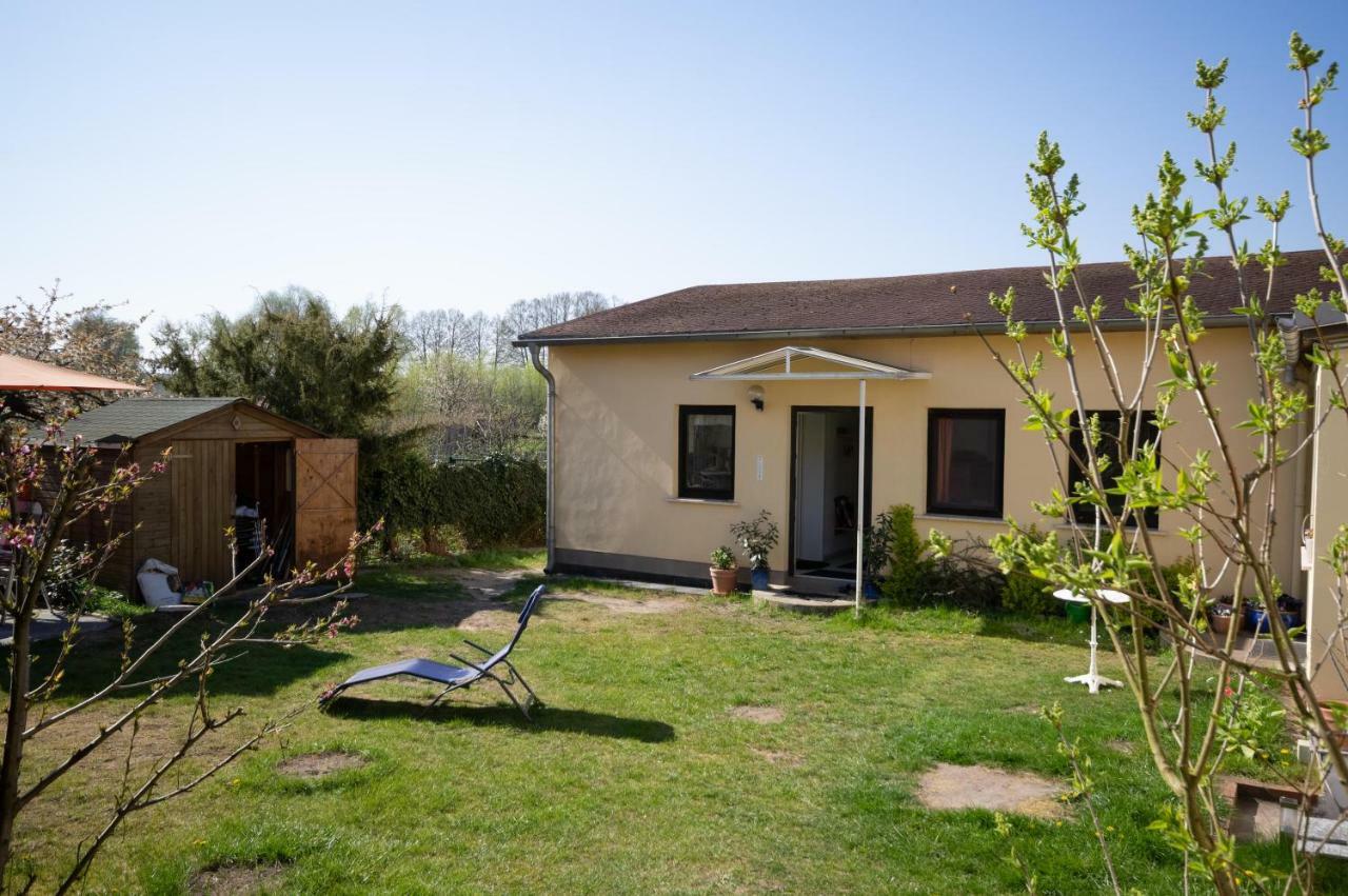 Ferienwohnung Sonnenblume Himmelpfort Pian المظهر الخارجي الصورة