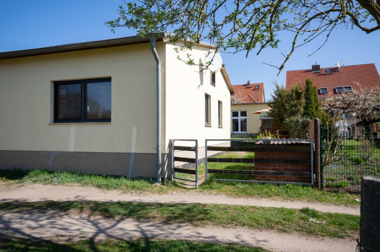 Ferienwohnung Sonnenblume Himmelpfort Pian المظهر الخارجي الصورة